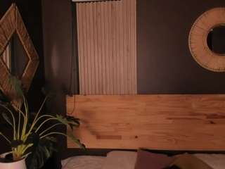 valneeko webcam model stream image