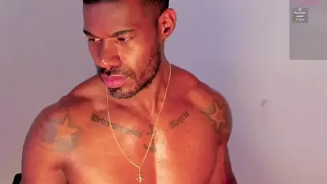 Ganiimedes webcam model stream image