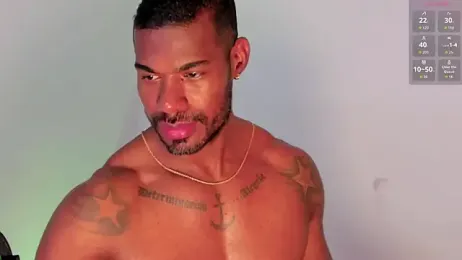 Ganiimedes webcam model stream image