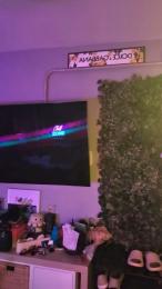 Dani_MalaPedro webcam cam4 model stream image