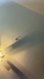 SexyChef2025 webcam model stream image