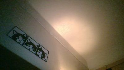 Ximenahotonly webcam model stream image