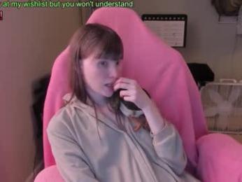 nacmar webcam model stream image