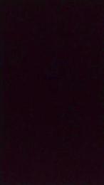 V1cent webcam model stream image