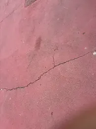 Rico1_1 webcam model stream image