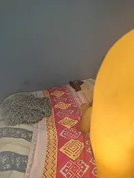 badlove42 webcam model stream image