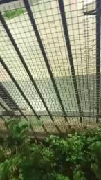 Asasass webcam model stream image