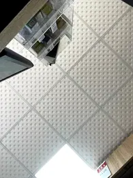 baramadalin webcam model stream image