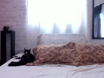 kimandyuk webcam model stream image