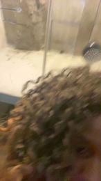 Danixayume20 webcam model stream image