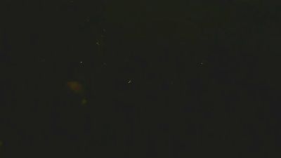 UseDatman webcam model stream image