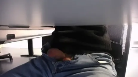 pliko webcam model stream image