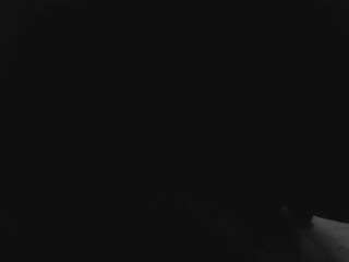 beee0135 webcam model stream image