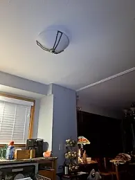 Armyexhibitionistvet webcam stripchat model stream image