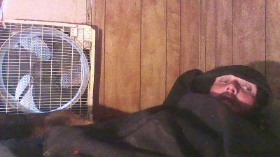 thighwalker webcam model stream image