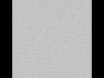 hencamx webcam model stream image