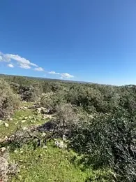 Inked_lorena webcam model stream image