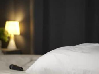 sheenadu webcam model stream image