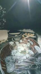 verga292 webcam model stream image