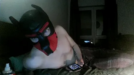 MolleDolle webcam model stream image