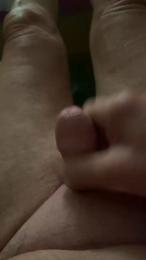 slipfan webcam model stream image