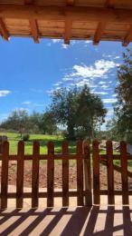 Lu_01 webcam model stream image