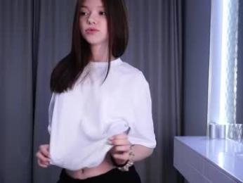 skyeriehm webcam model stream image