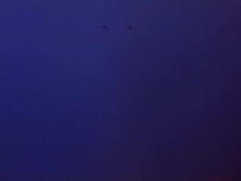 sophi_vi webcam chaturbate model stream image