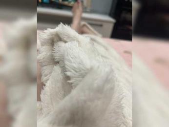 CuteKitty00 webcam model stream image