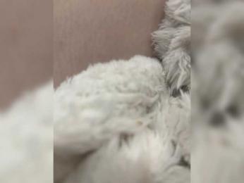 CuteKitty00 webcam model stream image