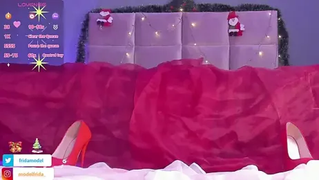 _frida1 webcam model stream image