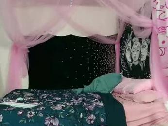ruby_wren webcam model stream image