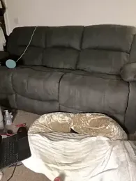 Scottish_Bella_Blazex webcam model stream image