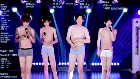 AOA-MIC webcam model stream image