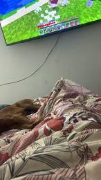 Ativocascais88 webcam model stream image