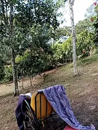 AlphaAlterX webcam model stream image