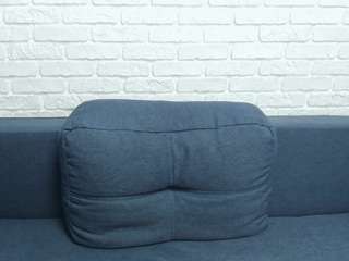 layaflow webcam model stream image