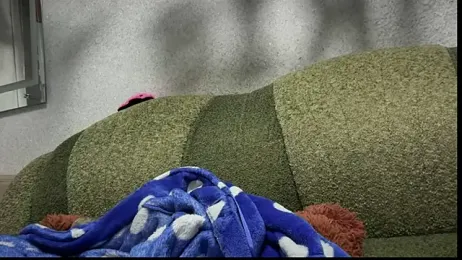 daddyandmyprincess webcam model stream image