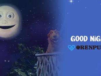 renpuppy webcam model stream image