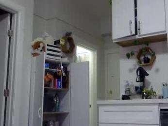 boogda webcam chaturbate model stream image