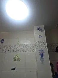 Alisasex@xh webcam model stream image