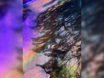 -Summer- webcam model stream image