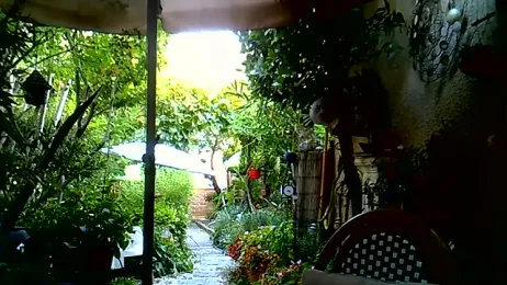 grosbbh webcam model stream image