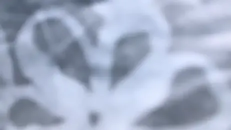 LA_SSERAFIM webcam model stream image