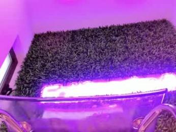 hotfallingdevil webcam model stream image