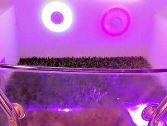 hotfallingdevil webcam model stream image