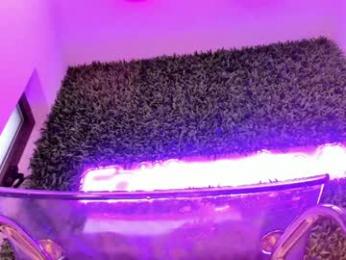 hotfallingdevil webcam model stream image