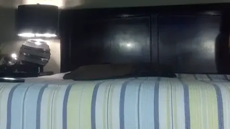 Hornylouisewil webcam stripchat model stream image