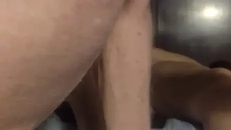 Hornylouisewil webcam stripchat model stream image