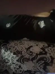 Samia-Love webcam stripchat model stream image